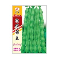 重慶本地受歡迎的四季豆品種，好吃好賣不易老化帶小時候的清香味