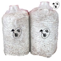 富菌黑木耳菌種 原種 栽培種 優(yōu)質(zhì)高產(chǎn)技術支持