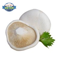 DETAN德添新鮮白靈菇 新鮮 購買請電話聯(lián)系，否則不發(fā)貨