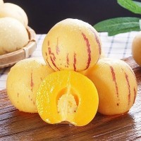 現(xiàn)摘現(xiàn)發(fā)云南石林人參果應季新鮮水果樹上熟5斤黃肉多汁整箱批發(fā)