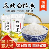 東北大米10斤遼星白粒米5kg食堂餐廳外賣(mài)雪花米丑米色選白米批發(fā)