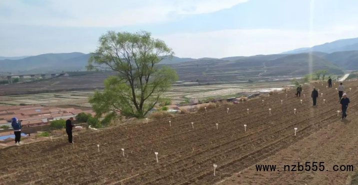 微信截圖_20220524112724