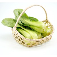 四川當季肥嫩蔬菜 可熱炒可涼拌 新鮮上海青現(xiàn)摘產(chǎn)地直發(fā)量大從優(yōu)