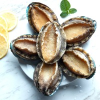 閩正煮凍鮑魚4頭-32頭鮑魚OEM、ODM定制生產(chǎn)來料加工海鮮水產(chǎn)凍品  2斤起批