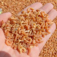 金鉤海米新鮮蝦米蝦仁水產海鮮海產干貨漁民自曬一件代發500g