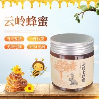 廠家供應云南土蜂蜜土特產伴手禮云嶺蜂蜜瓶裝農家峰蜜食品零食  2瓶起批