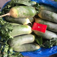 優惠銷售水果青蘿卜，青皮青瓤及紫紅皮紫紅瓤蘿卜，甜脆可口