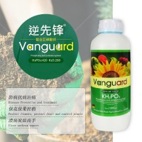 全水溶葉面肥亞磷酸鉀 高磷高鉀水溶肥 膨果?；ū９厣铱赝柿? onmouseover=