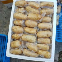 鮮天麻真空保鮮天麻一個一袋，酒店冰鎮(zhèn)天麻片，天麻食材長年供應(yīng)