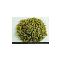 供應(yīng)葡萄干 無核白一級(jí)葡萄干 優(yōu)質(zhì)新疆特產(chǎn)葡萄干 批發(fā)新疆干果