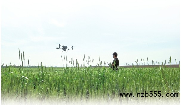 微信截圖_20250526135422