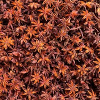 現(xiàn)貨批發(fā) 廣西大紅八角大料大茴香香料鹵料調(diào)料調(diào)味品全干香料