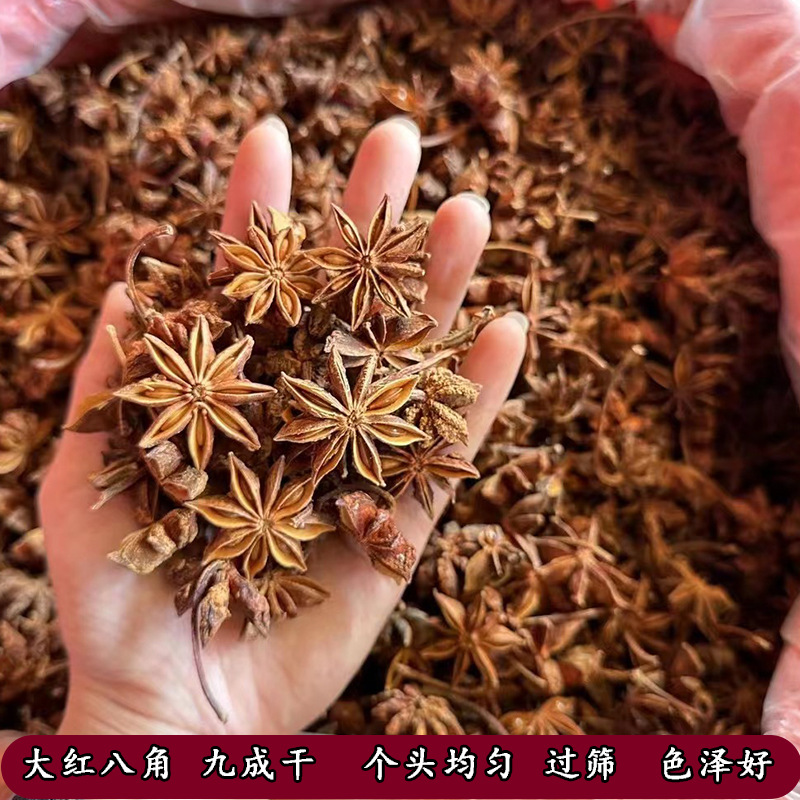 O1CN01bxHVW01JR2NMtxtPm_!!2206551481024-0-cib