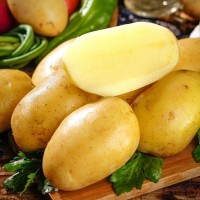 黃皮黃心土豆整箱5/10斤軟糯香甜洋芋馬鈴薯現挖農家蔬菜新鮮現挖