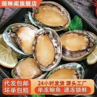 新鮮冷凍大號鮑魚現(xiàn)貨速凍鮑魚佛跳墻原料帶殼鮑魚海鮮水產(chǎn)批發(fā)