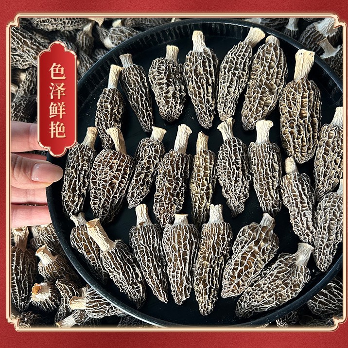 O1CN019uMSK01rhFZdsKmF7_!!4183445662-0-cib