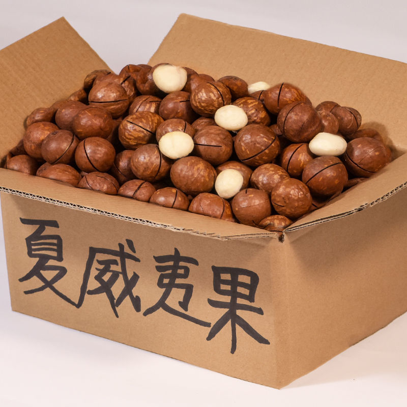 20089869155_609514476