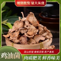 云南原產(chǎn)地野生雞油菌干貨燉湯煲養(yǎng)生湯菌湯食材雞油菌批發(fā)500g