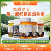 農家土蜂蜜源頭工廠中華蜂培育基地百花蜜五倍子蜜枇杷蜜多款批發